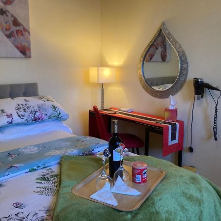 Mountroyal Victorian Studio Self Catering Apartment 3 Belfast Exterior photo