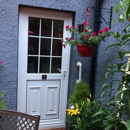 Mountroyal Victorian Studio Self Catering Apartment 3 Belfast Exterior photo