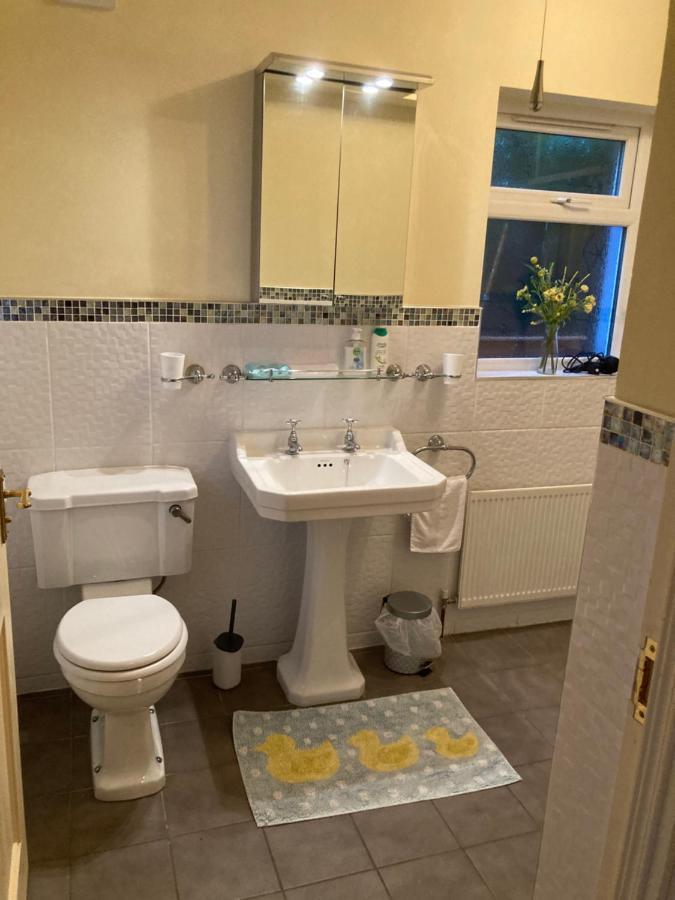 Mountroyal Victorian Studio Self Catering Apartment 3 Belfast Exterior photo