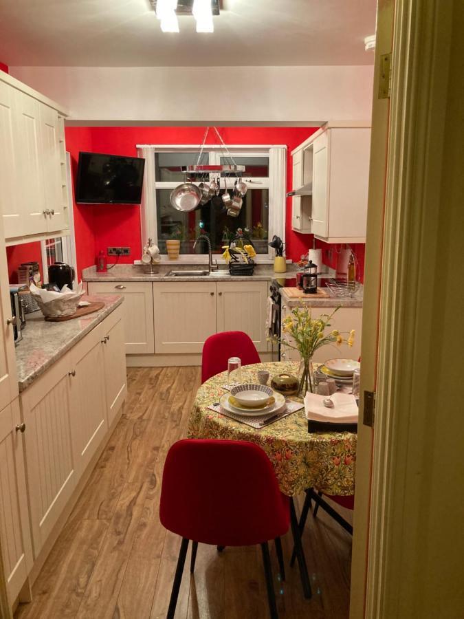 Mountroyal Victorian Studio Self Catering Apartment 3 Belfast Exterior photo