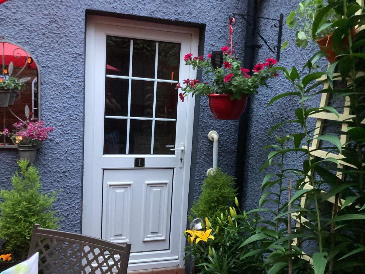 Mountroyal Victorian Studio Self Catering Apartment 3 Belfast Exterior photo