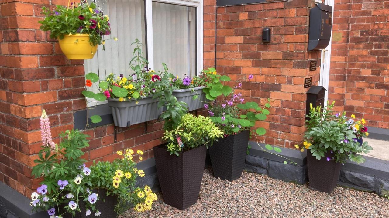 Mountroyal Victorian Studio Self Catering Apartment 3 Belfast Exterior photo