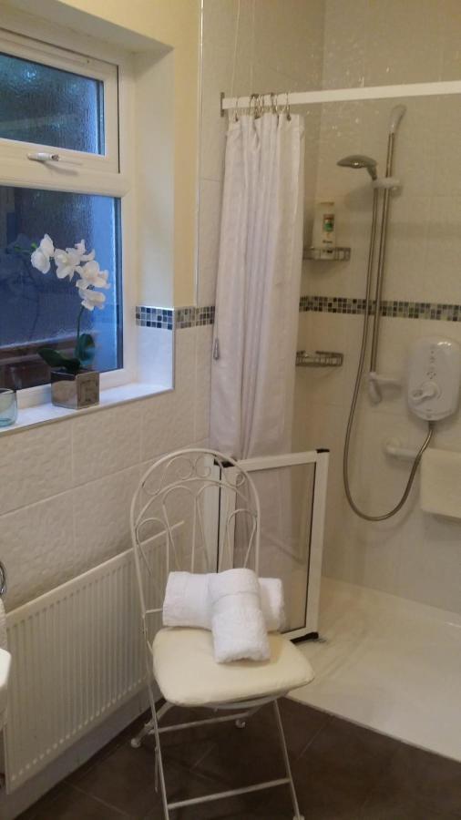 Mountroyal Victorian Studio Self Catering Apartment 3 Belfast Exterior photo